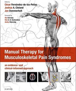 Manual Therapy for Musculoskeletal Pain Syndromes: an evidence- and clinical-informed approach